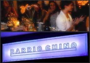 ZimSEF 2012 Fundraiser