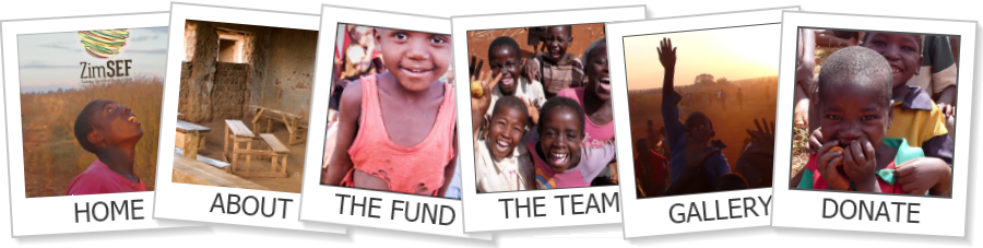 Zimbabwe Sports and Education Fund.